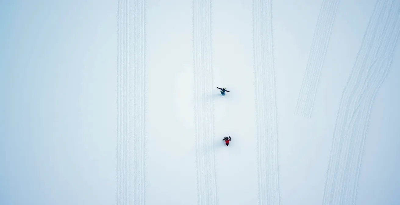 Traces dans la neige montrant deux techniques de virage différentes, l'une fine et coupée, l'autre large et dérapée
